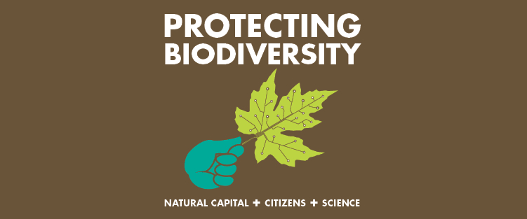 World Issues Society Importance Of Biodiversity